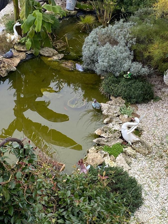 La Maison Du Bonheur Saintry-sur-Seine Kültér fotó