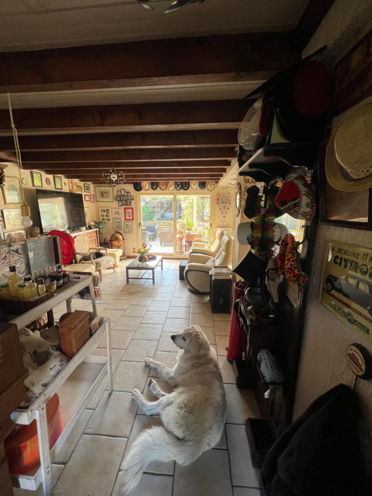 La Maison Du Bonheur Saintry-sur-Seine Kültér fotó
